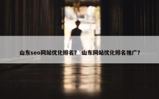 山东seo网站优化排名？ 山东网站优化排名推广？