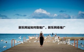 新乐网站如何做推广，新乐网络推广