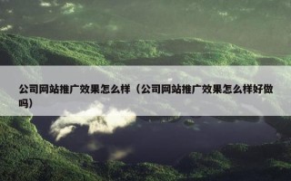 公司网站推广效果怎么样（公司网站推广效果怎么样好做吗）