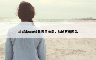 盐城市seo优化哪里有卖，盐城百度网站