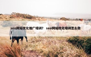 seo网站优化推广培训？ seo网站优化培训怎么做？