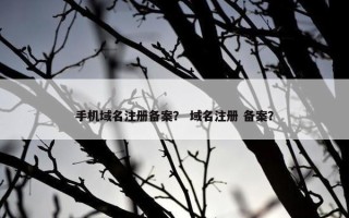 手机域名注册备案？ 域名注册 备案？