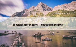 外贸网站用什么收款？ 外贸网站怎么赚钱？