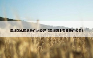 深圳怎么网站推广比较好（深圳网上专业推广公司）