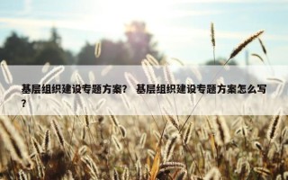 基层组织建设专题方案？ 基层组织建设专题方案怎么写？