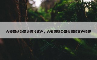 六安网络公司去哪找客户，六安网络公司去哪找客户经理