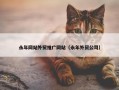 永年网站外贸推广网站（永年外贸公司）