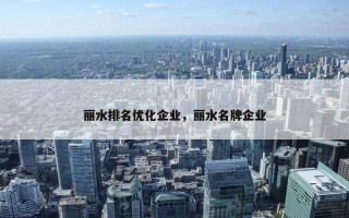 丽水排名优化企业，丽水名牌企业