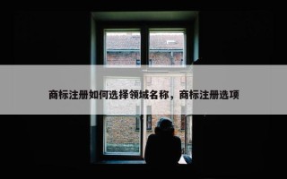 商标注册如何选择领域名称，商标注册选项