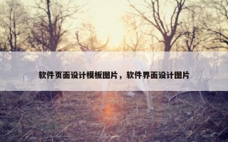 软件页面设计模板图片，软件界面设计图片