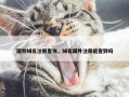 国外域名注册查询，域名国外注册能查到吗