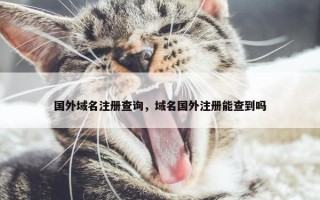 国外域名注册查询，域名国外注册能查到吗