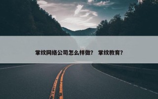 掌纹网络公司怎么样做？ 掌纹教育？