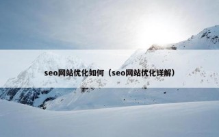 seo网站优化如何（seo网站优化详解）