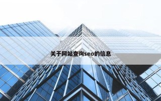 关于网站查询seo的信息
