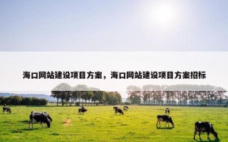 海口网站建设项目方案，海口网站建设项目方案招标