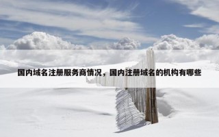 国内域名注册服务商情况，国内注册域名的机构有哪些