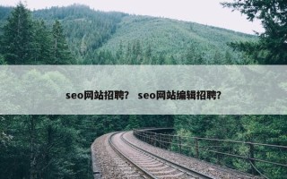 seo网站招聘？ seo网站编辑招聘？