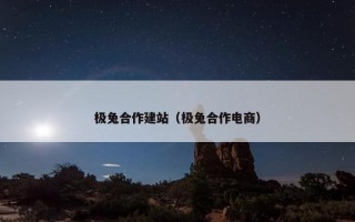 极兔合作建站（极兔合作电商）