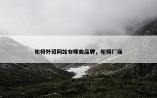 轮椅外贸网站有哪些品牌，轮椅厂商