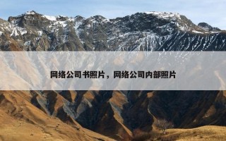 网络公司书照片，网络公司内部照片
