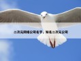 二次元网络公司名字，知名二次元公司