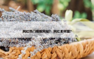 网红热门模板网站？ 网红素材图？