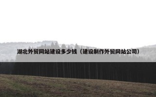 湖北外贸网站建设多少钱（建设制作外贸网站公司）