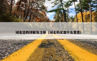 域名选购详解及注册（域名购买是什么意思）