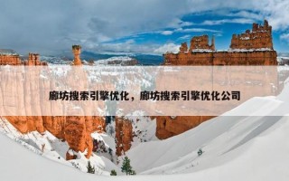廊坊搜索引擎优化，廊坊搜索引擎优化公司
