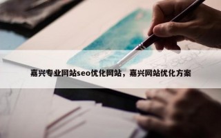 嘉兴专业网站seo优化网站，嘉兴网站优化方案