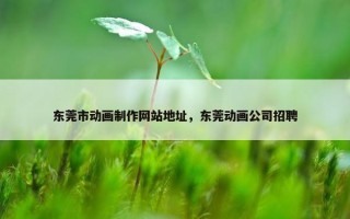 东莞市动画制作网站地址，东莞动画公司招聘