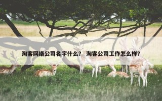 淘客网络公司名字什么？ 淘客公司工作怎么样？
