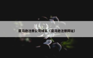亚马逊注册公司域名（亚马逊注册网址）