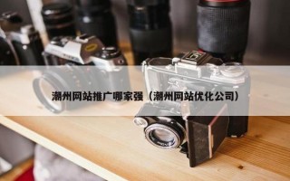 潮州网站推广哪家强（潮州网站优化公司）