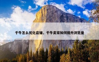 千牛怎么优化店铺，千牛卖家如何提升浏览量