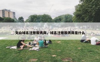 文山域名注册服务商，域名注册服务商是什么