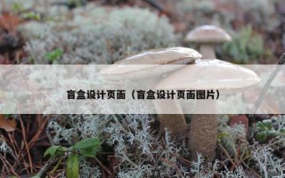 盲盒设计页面（盲盒设计页面图片）