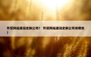 外贸网站建设定制公司？ 外贸网站建设定制公司有哪些？