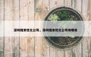 深圳搜索优化公司，深圳搜索优化公司有哪些