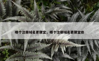 哪个注册域名更便宜，哪个注册域名更便宜些