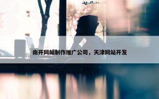 南开网站制作推广公司，天津网站开发