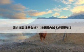 国内域名注册会计？ 注册国内域名必须经过？