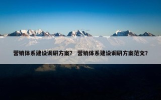 营销体系建设调研方案？ 营销体系建设调研方案范文？