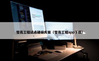 雪亮工程试点建设方案（雪亮工程app下载）