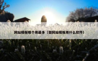 网站模板哪个用最多（做网站模板用什么软件）