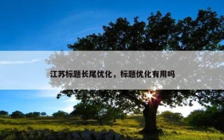 江苏标题长尾优化，标题优化有用吗