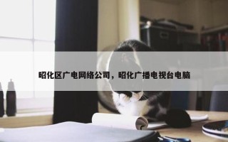 昭化区广电网络公司，昭化广播电视台电脑