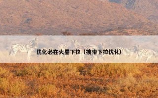优化必在火星下拉（搜索下拉优化）