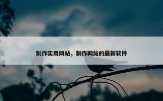 制作实用网站，制作网站的最新软件